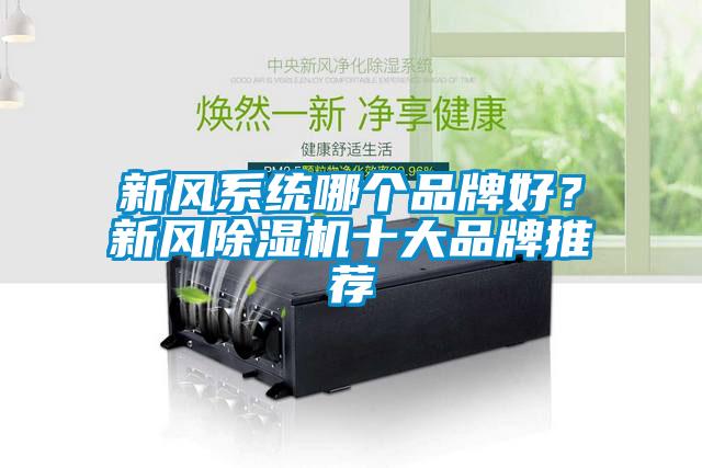 新風(fēng)系統(tǒng)哪個(gè)品牌好？新風(fēng)除濕機(jī)十大品牌推薦