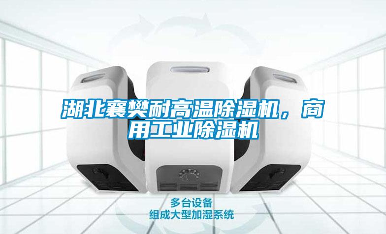 湖北襄樊耐高溫除濕機(jī)，商用工業(yè)除濕機(jī)