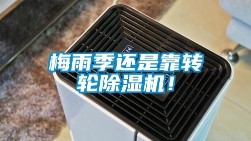 梅雨季還是靠轉輪除濕機！