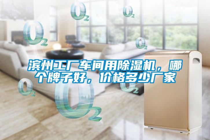 濱州工廠車間用除濕機(jī)，哪個(gè)牌子好，價(jià)格多少廠家