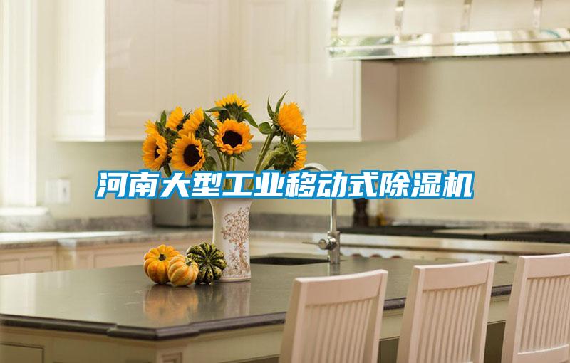 河南大型工業(yè)移動(dòng)式除濕機(jī)
