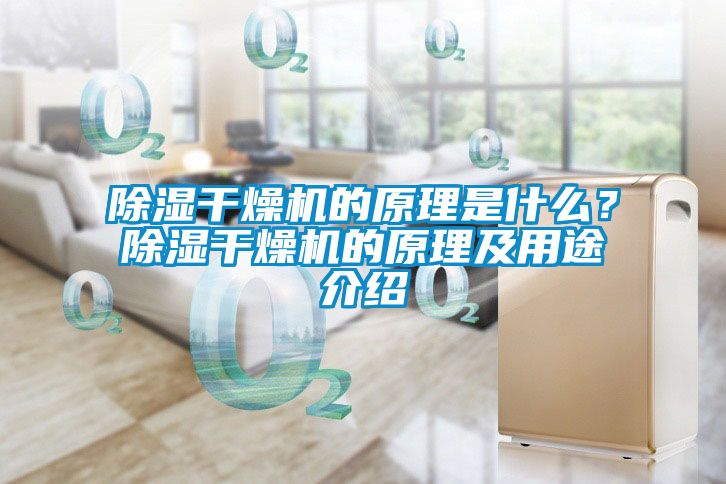 除濕干燥機(jī)的原理是什么？除濕干燥機(jī)的原理及用途介紹