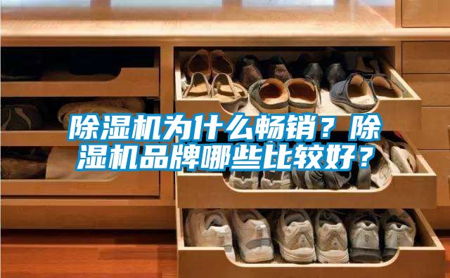除濕機為什么暢銷？除濕機品牌哪些比較好？