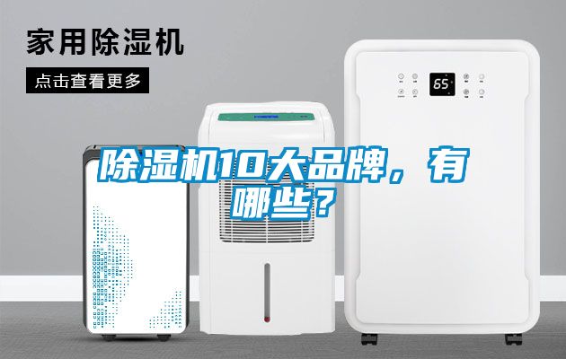 除濕機(jī)10大品牌，有哪些？