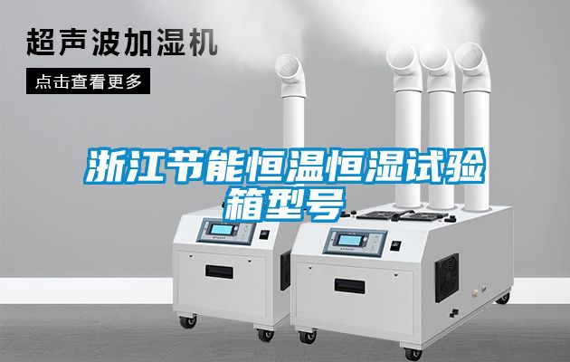 浙江節(jié)能恒溫恒濕試驗(yàn)箱型號
