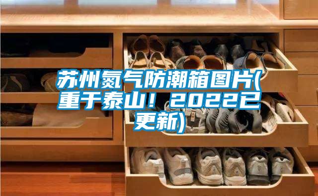 蘇州氮氣防潮箱圖片(重于泰山！2022已更新)