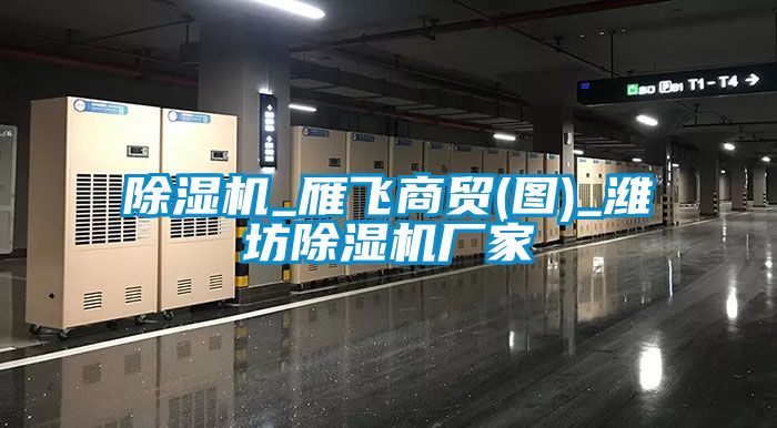 除濕機_雁飛商貿(mào)(圖)_濰坊除濕機廠家