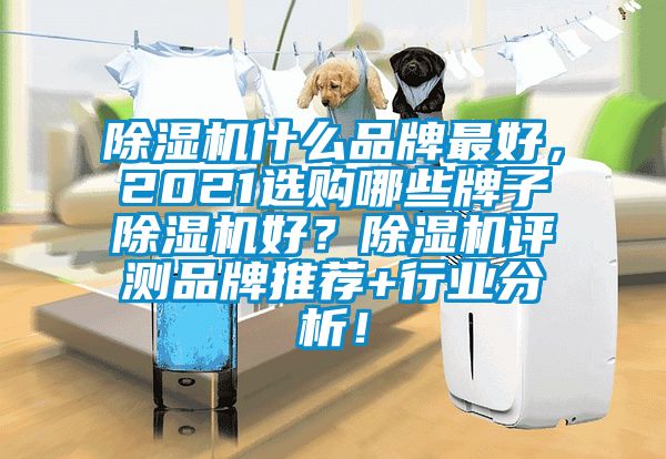 除濕機什么品牌最好，2021選購哪些牌子除濕機好？除濕機評測品牌推薦+行業(yè)分析！