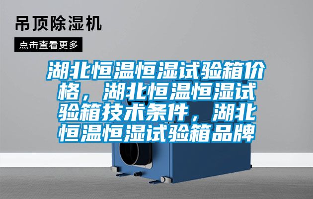 湖北恒溫恒濕試驗箱價格，湖北恒溫恒濕試驗箱技術(shù)條件，湖北恒溫恒濕試驗箱品牌