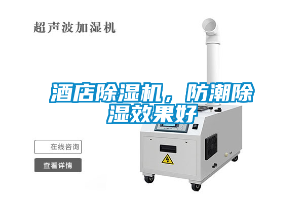 酒店除濕機，防潮除濕效果好