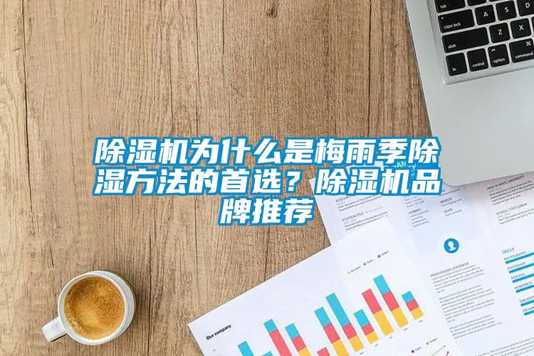 除濕機(jī)為什么是梅雨季除濕方法的首選？除濕機(jī)品牌推薦