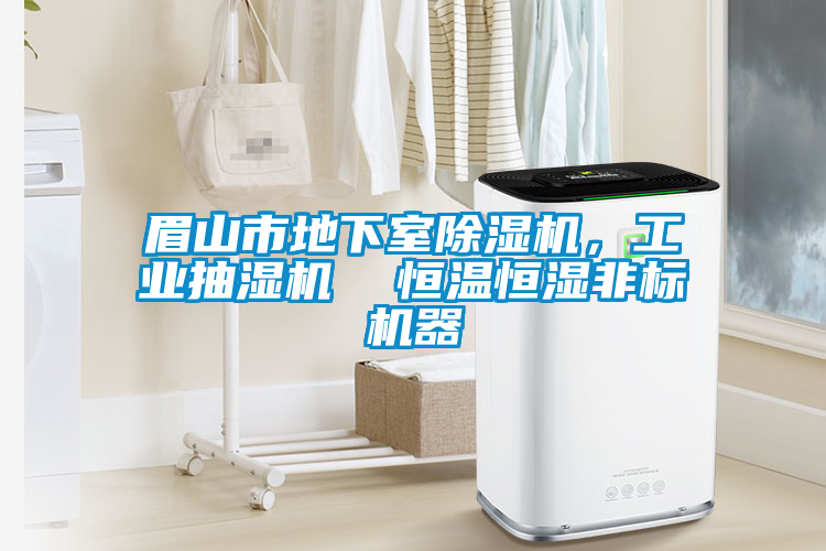 眉山市地下室除濕機，工業抽濕機  恒溫恒濕非標機器
