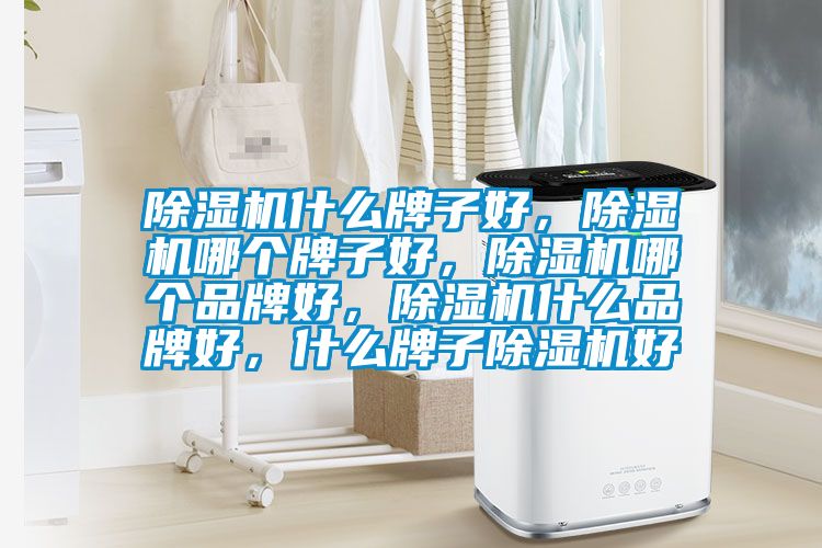 除濕機什么牌子好，除濕機哪個牌子好，除濕機哪個品牌好，除濕機什么品牌好，什么牌子除濕機好