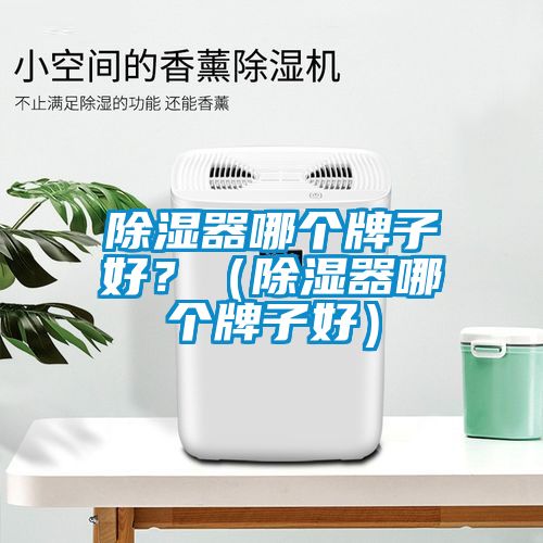 除濕器哪個牌子好？（除濕器哪個牌子好）