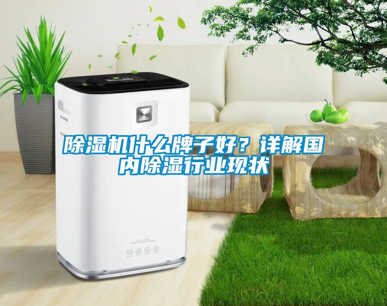除濕機什么牌子好？詳解國內除濕行業(yè)現狀