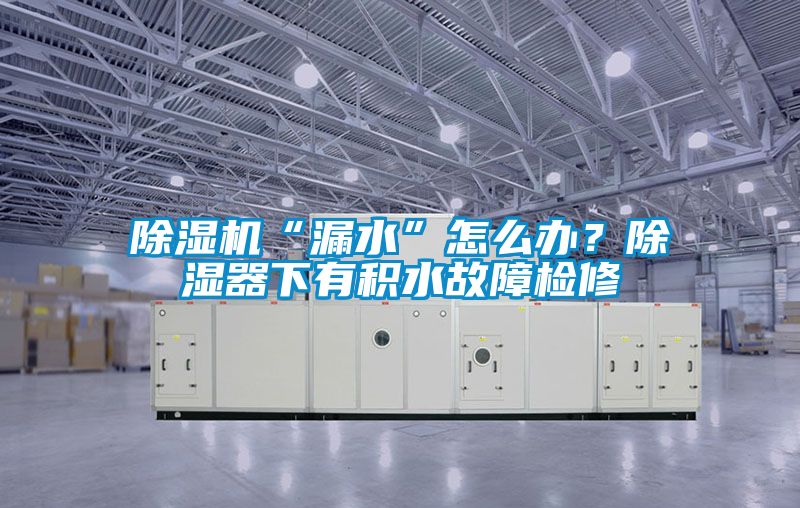 除濕機“漏水”怎么辦？除濕器下有積水故障檢修
