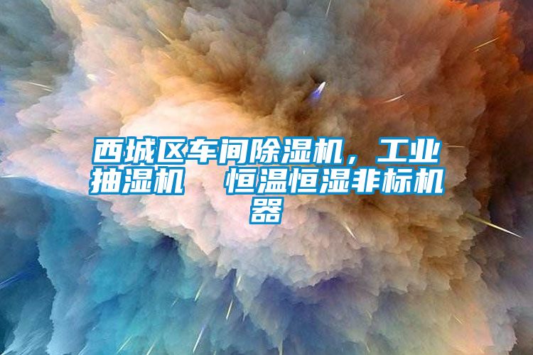 西城區(qū)車間除濕機(jī)，工業(yè)抽濕機(jī)  恒溫恒濕非標(biāo)機(jī)器