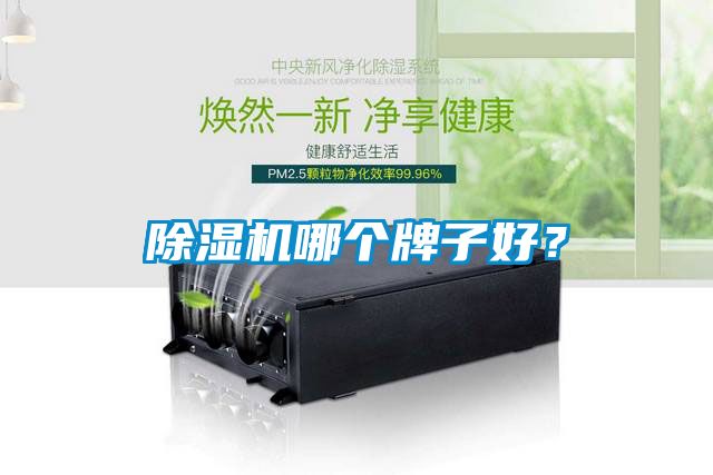 除濕機(jī)哪個牌子好？