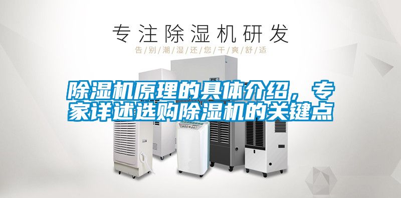 除濕機原理的具體介紹，專家詳述選購除濕機的關鍵點