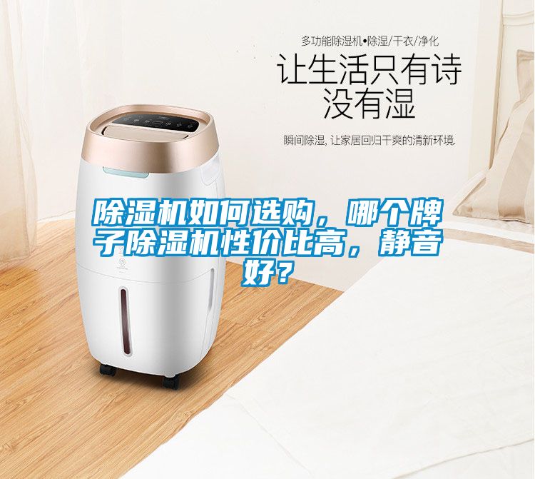 除濕機(jī)如何選購，哪個(gè)牌子除濕機(jī)性價(jià)比高，靜音好？