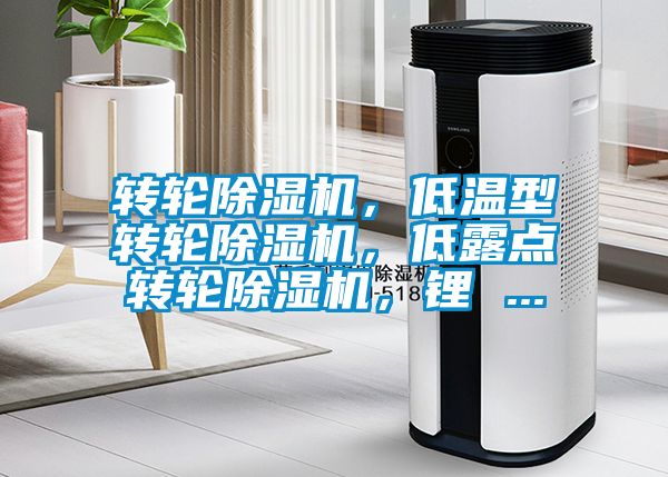 轉輪除濕機，低溫型轉輪除濕機，低露點轉輪除濕機，鋰 ...