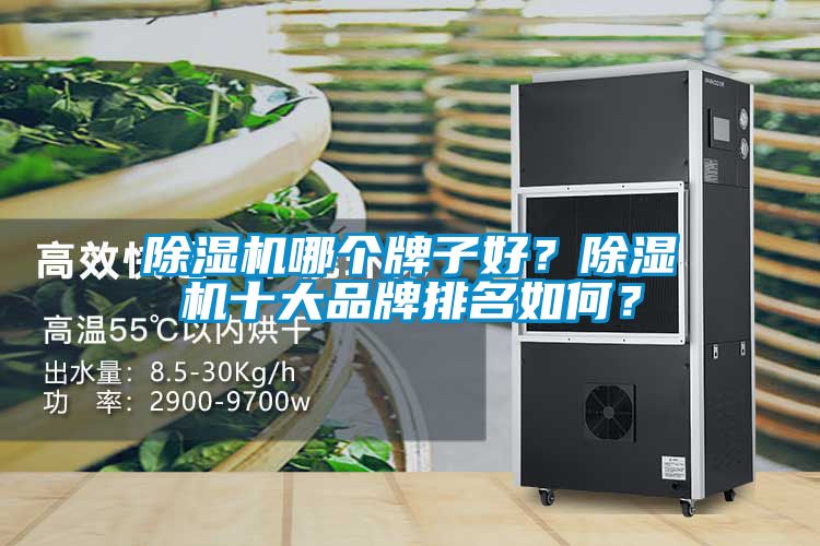 除濕機哪個牌子好？除濕機十大品牌排名如何？