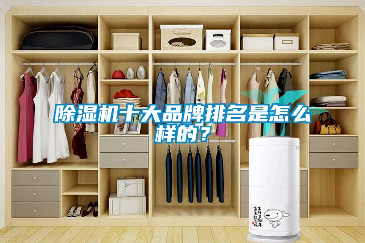 除濕機(jī)十大品牌排名是怎么樣的？