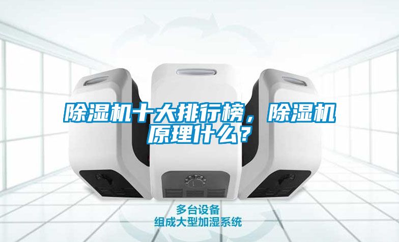 除濕機十大排行榜，除濕機原理什么？