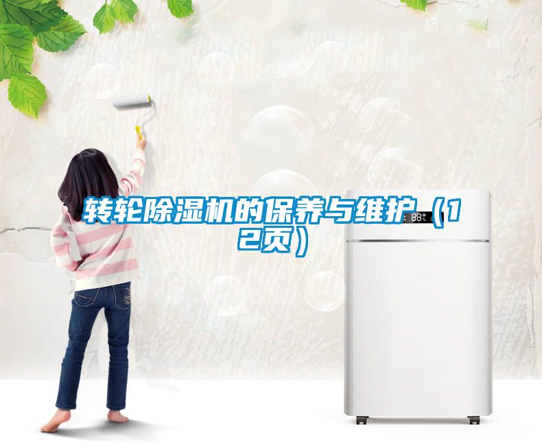 轉(zhuǎn)輪除濕機的保養(yǎng)與維護（12頁）