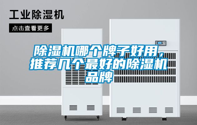 除濕機哪個牌子好用，推薦幾個最好的除濕機品牌