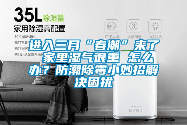 進(jìn)入三月“春潮”來了 家里濕氣很重 怎么辦？防潮除霉小妙招解決困擾