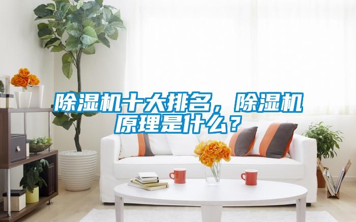 除濕機十大排名，除濕機原理是什么？