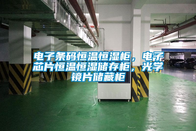 電子條碼恒溫恒濕柜，電子芯片恒溫恒濕儲存柜，光學鏡片儲藏柜