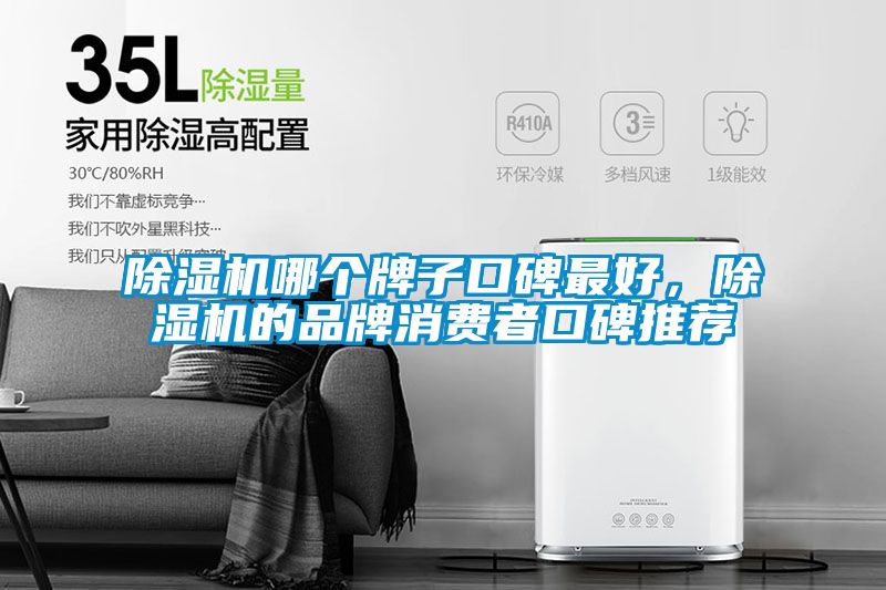 除濕機哪個牌子口碑最好，除濕機的品牌消費者口碑推薦