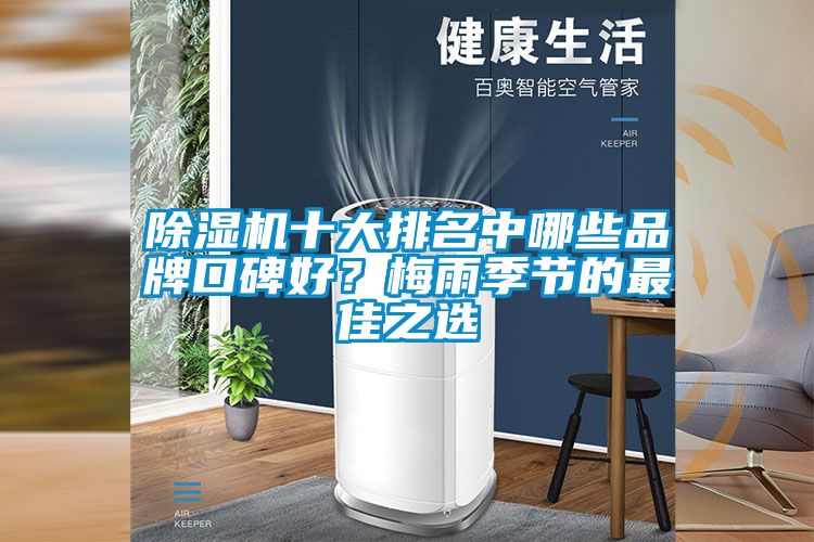 除濕機十大排名中哪些品牌口碑好？梅雨季節的最佳之選