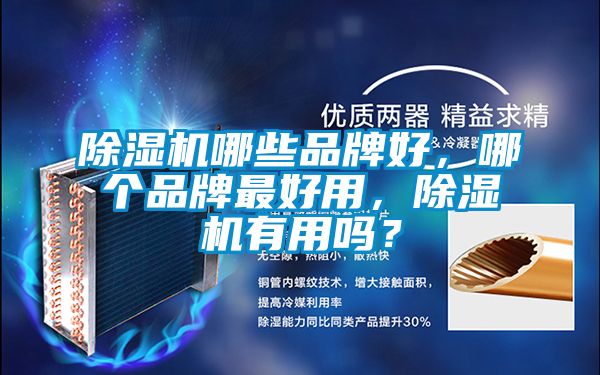 除濕機(jī)哪些品牌好，哪個(gè)品牌最好用，除濕機(jī)有用嗎？