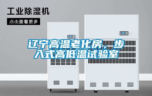 遼寧高溫老化房，步入式高低溫試驗室