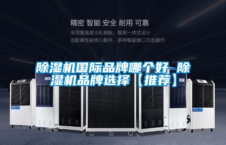 除濕機(jī)國際品牌哪個好 除濕機(jī)品牌選擇【推薦】