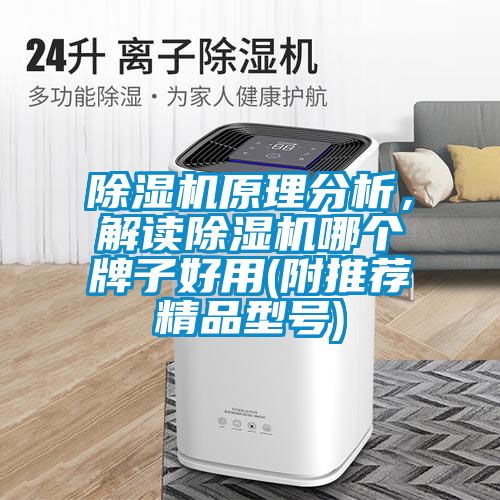 除濕機(jī)原理分析，解讀除濕機(jī)哪個(gè)牌子好用(附推薦精品型號)