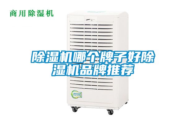 除濕機(jī)哪個牌子好除濕機(jī)品牌推薦