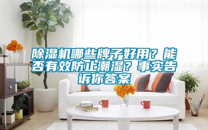 除濕機哪些牌子好用？能否有效防止潮濕？事實告訴你答案