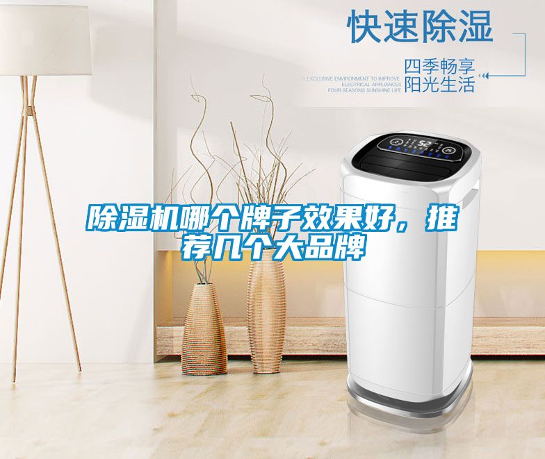 除濕機(jī)哪個牌子效果好，推薦幾個大品牌