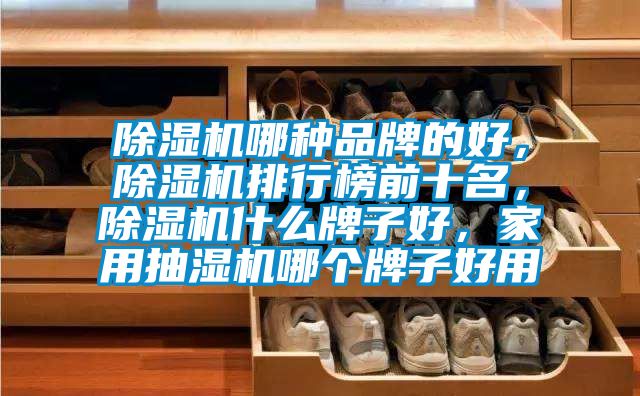 除濕機哪種品牌的好，除濕機排行榜前十名，除濕機什么牌子好，家用抽濕機哪個牌子好用