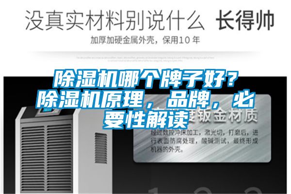 除濕機哪個牌子好？除濕機原理，品牌，必要性解讀