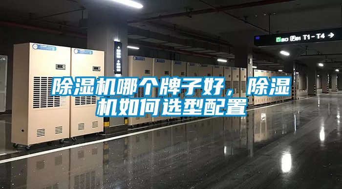 除濕機(jī)哪個牌子好，除濕機(jī)如何選型配置