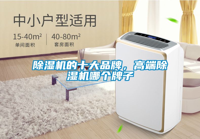 除濕機(jī)的十大品牌，高端除濕機(jī)哪個牌子