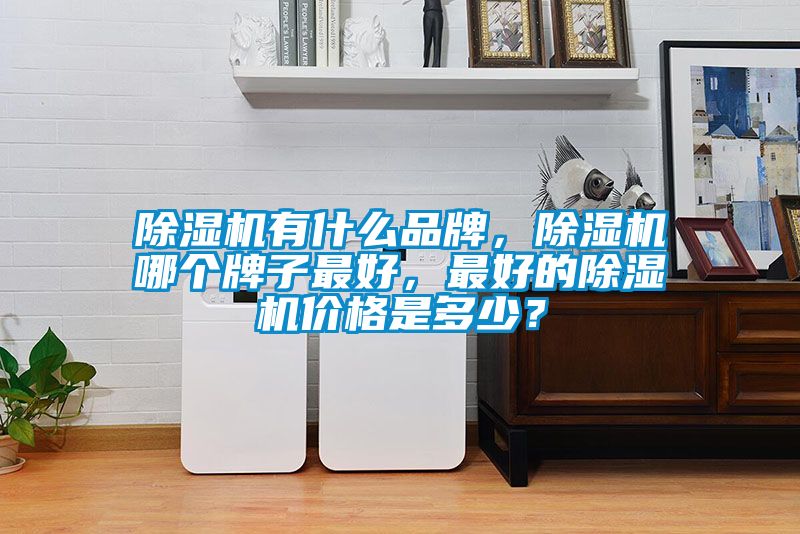 除濕機(jī)有什么品牌，除濕機(jī)哪個牌子最好，最好的除濕機(jī)價格是多少？