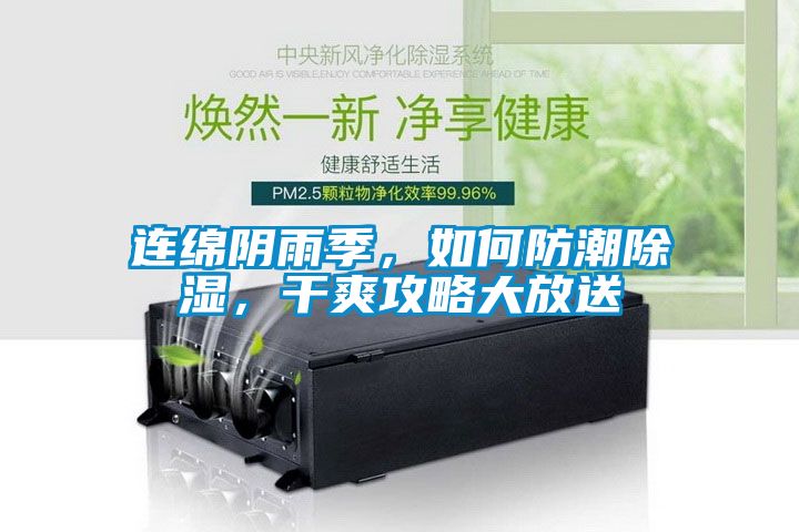 連綿陰雨季，如何防潮除濕，干爽攻略大放送