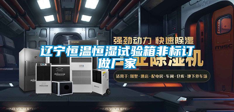 遼寧恒溫恒濕試驗箱非標(biāo)訂做廠家