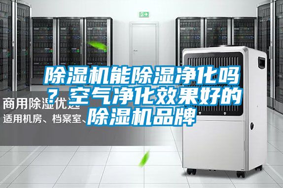 除濕機(jī)能除濕凈化嗎？空氣凈化效果好的除濕機(jī)品牌